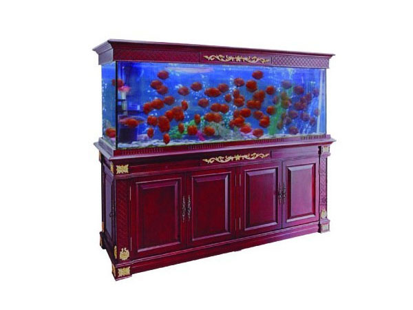 Acrylic Aquarium