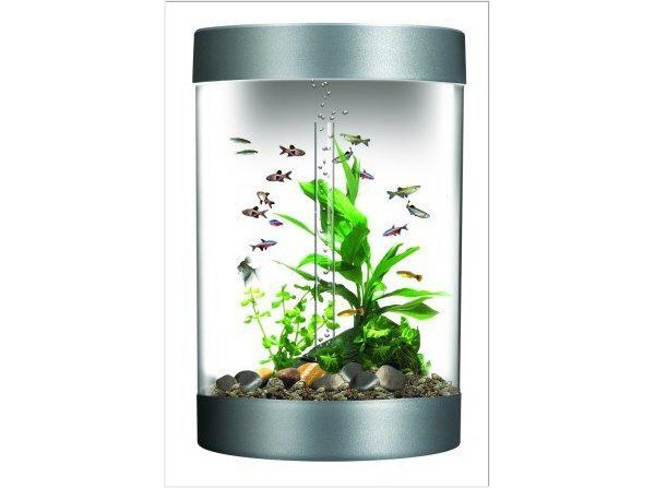 Acrylic Aquarium