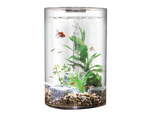 Acrylic Aquarium