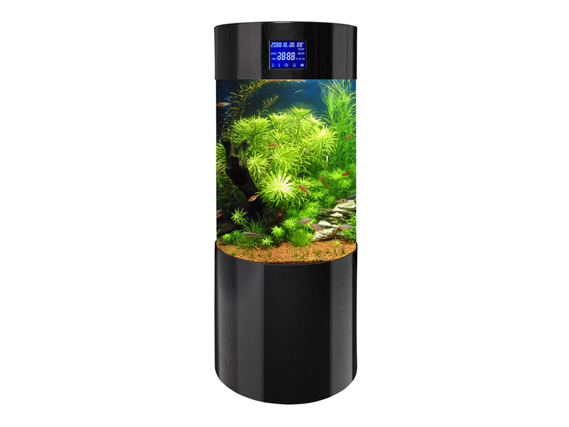 Acrylic Aquarium