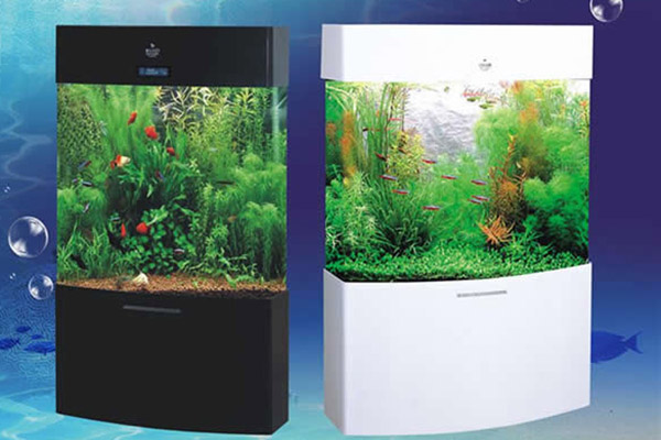 Acrylic Aquarium