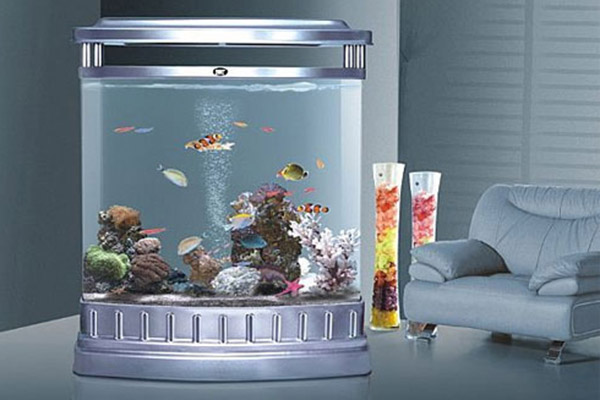 Acrylic Aquarium